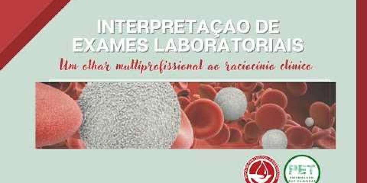 Insuficiencia renal en perros Síntomas y tratamiento